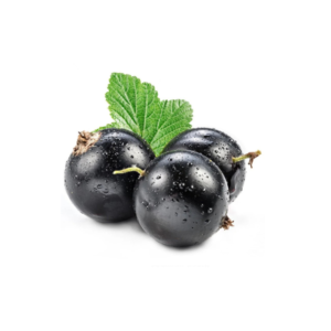 Blackcurrant grape 13mg